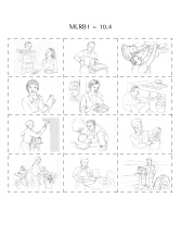 MLRB1_10.4