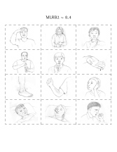 MLRB2_8.4